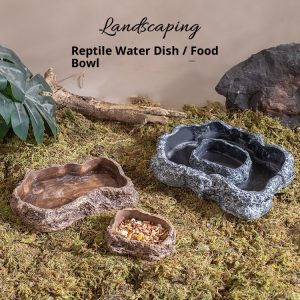 Reptile Food & Water Bowls - Rock-Like Bath Basin for Lizard/Tortoise/Gecko