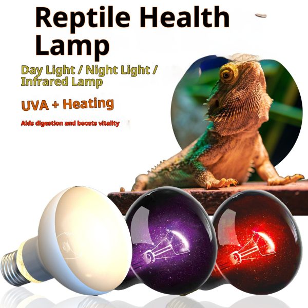 Reptile Heat Bulb - UVA Infrared, Day/Night Light for Lizard/Turtle