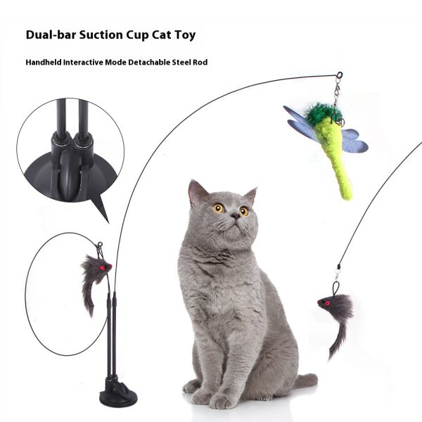 Z Explosive suction cup cat ticker
