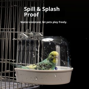 Bird Bath Box - For Starling/Black Phoenix/Parakeet, with Silk Flower