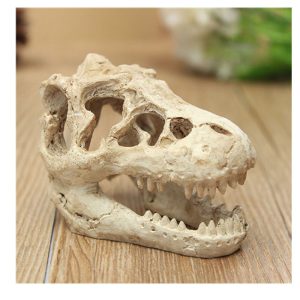 Resin Dinosaur Skull Decor - For Aquarium Water Grass & Reptile (Lizard) Landscaping