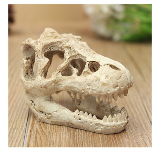 Resin Dinosaur Skull Decor - For Aquarium Water Grass & Reptile (Lizard) Landscaping