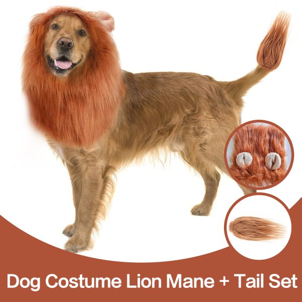 Dog Lion Transformation Wig Hat  - Funny Ear Headgear