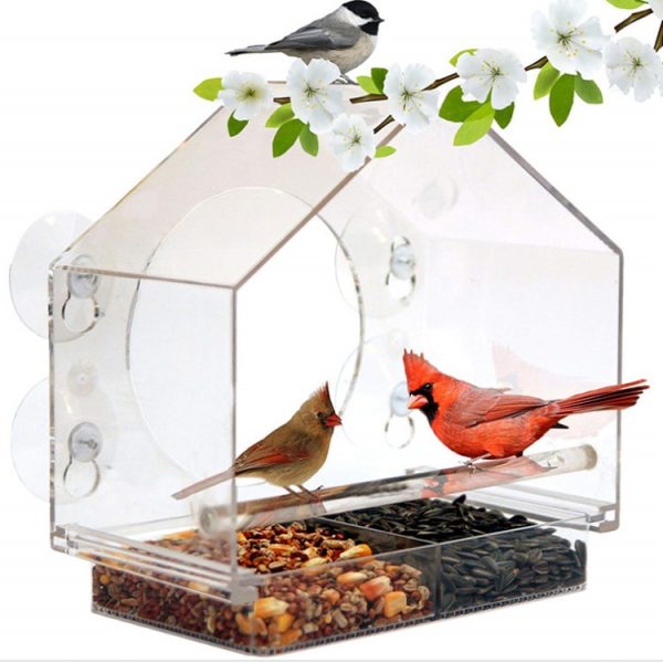 Acrylic Bird Feeder - Punch-Free Suction Cup, Wall-Mounted